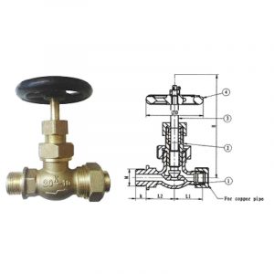 JIS F7388 Bronze 20k Globe Valves